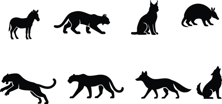Vactor file in varities animals