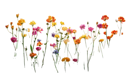 Beautiful red poppy flowers and spring floral blossoms create a nature pattern vector illustration with butterflies in a meadow garden design