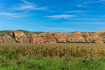 Ripe corn fields in the Gamtoos River valley with red conglomerate hills in the background near...