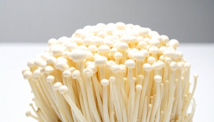 Fresh Enoki Mushrooms Cluster on a Bright Background