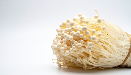 Fresh Enoki Mushrooms (Golden Needle Mushroom) Bundle Isolated on Clean White Background