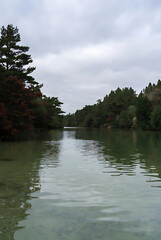 Forest lake in the mountains. Beautiful landscape of lake 