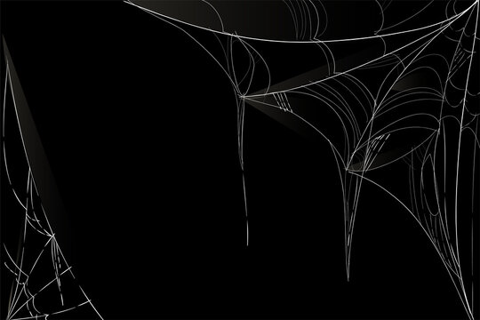 Cobweb overlay
