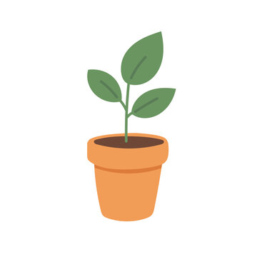 Small potted seedling illustration symbolizing growth, sustainability, indoor greenery, and beginner plant care inspiration.