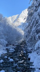 Snow covered alpine river valley with frozen stream and forest