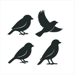 Obraz premium Set of Sparrow Bird Silhouettes in Various Poses