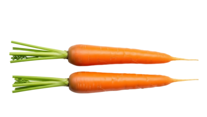 Two fresh carrots isolated PNG on transparent background, vibrant orange root vegetables with green stems for healthy eating and cooking