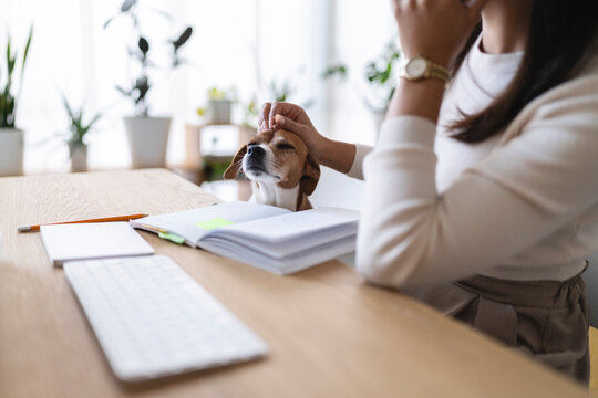 A person gently pets their dog while working at a desk with an open notebook and keyboard, creating a warm and productive atmosphere.