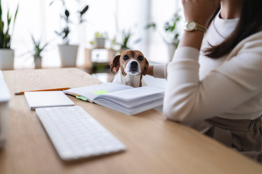 A person works at a desk with a dog looking over an open notebook, surrounded by plants.