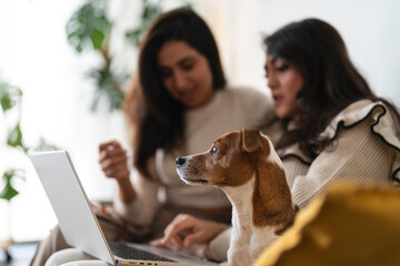Two women and a dog are looking at a laptop screen together, enjoying a moment of shared activity and companionship.