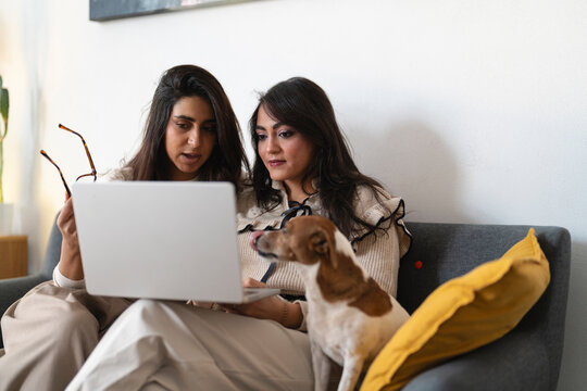 Two women and a dog are sitting on a couch, looking at a laptop together.