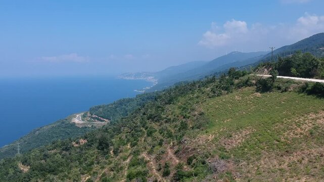 Scenic footage of lush green fields meeting the sea, showcasing a peaceful coastal landscape with natural greenery and calm water view. Perfect nature and travel atmosphere with wide open space and fr