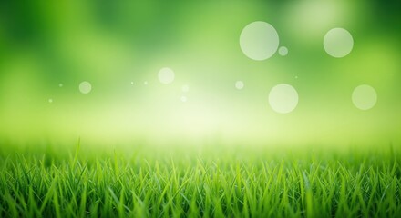Obraz premium Fresh green grass in sunlight with soft glowing circles above. Perfect for natural product backgrounds, spring themes, eco-friendly designs, or wellness content. Clean and peaceful mood.