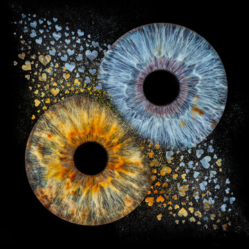 eye of love. Two human irises with hearts together 