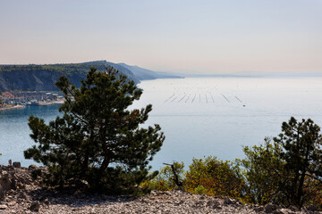 Sistiana Bay from the Rilke Trail