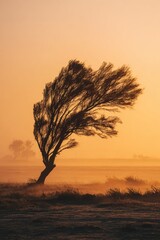 Strong wind bends tree at sunset in open field with mist around