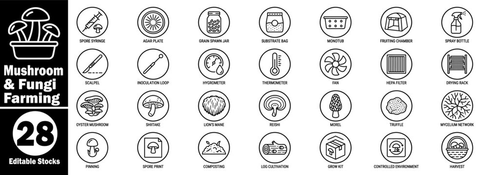 Mushroom and fungi farming cultivation process and laboratory equipment icon set Vector Illustrator.
