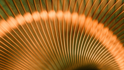 Macro texture of glowing orange copper wire with deep shadow. Geometric radial pattern with arc lines for marketing backdrop or trendy technology wallpaper. Photo
