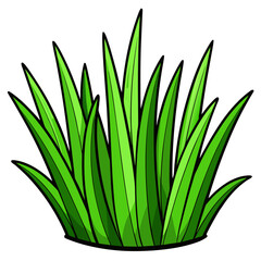 Vibrant green plant in a pot