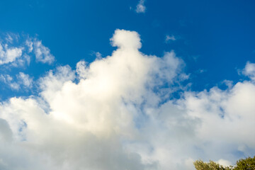 Obraz premium Panoramic view of white fluffy clouds drifting across a bright blue sky on a clear day.