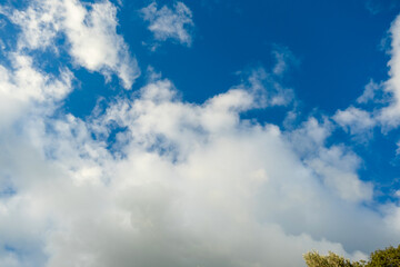 Obraz premium Panoramic view of white fluffy clouds drifting across a bright blue sky on a clear day.