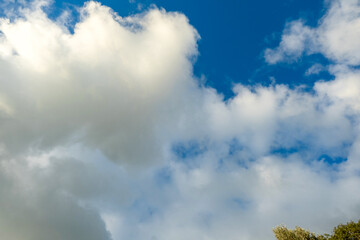 Obraz premium Panoramic view of white fluffy clouds drifting across a bright blue sky on a clear day.