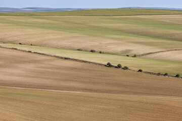 Obraz premium Agricultural fields in the South Downs, on an early spring day