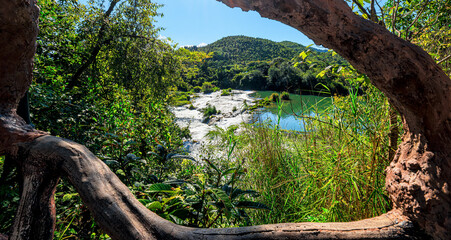 Scenic landscape view of a river with white water through a natural tree branch frame.
