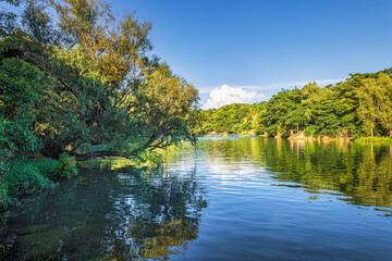 Obraz premium Peaceful river landscape with lush green trees reflecting in the calm water under a clear blue sky during a sunny day.