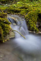 Mountain creek on mossy hill 