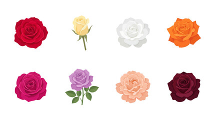 Fototapeta premium Colorful rose flower set including red, yellow, white, orange, pink, purple, peach, and burgundy blooms and buds isolated. Floral collection.
