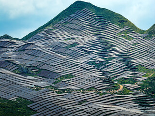 Large solar panel farm installed on a green mountain slope for renewable energy production during...