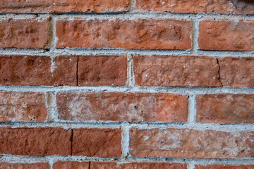 Obraz premium Close-up texture of a red brick wall background.