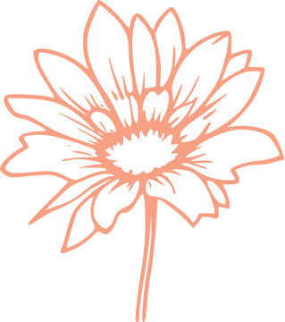 Spring Flower Graphic illustration 