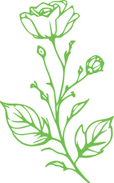 Spring Flower Graphic illustration 