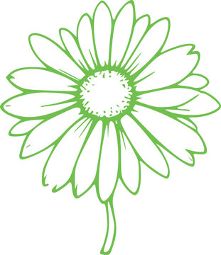 Spring Flower Graphic illustration 