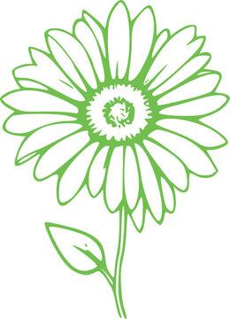 Spring Flower Graphic illustration 