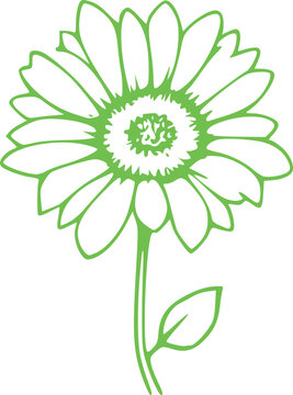 Spring Flower Graphic illustration 