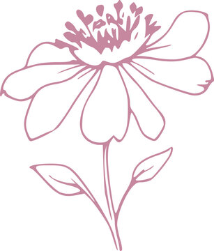 Spring Flower Graphic illustration 