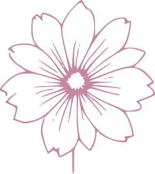 Spring Flower Graphic illustration 