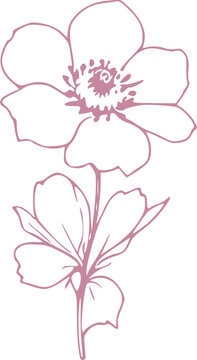 Spring Flower Graphic illustration 