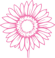 Spring Floral Illustration Graphic