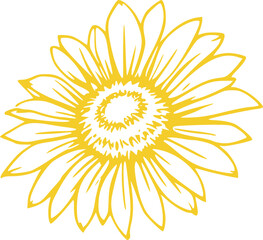 Floral Line Art Graphic Illustration