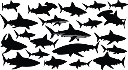 Obraz premium Shark silhouette vector collection, diverse marine predator icons, hammerhead and great white shark silhouettes, ocean wildlife graphic elements, ,