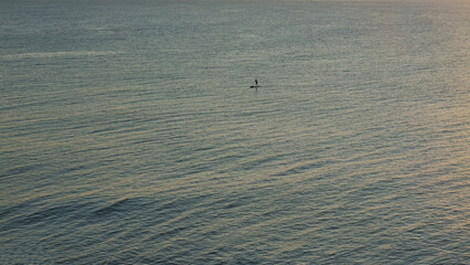 Solitary person on a stand-up paddleboard on a vast, calm ocean at dusk.