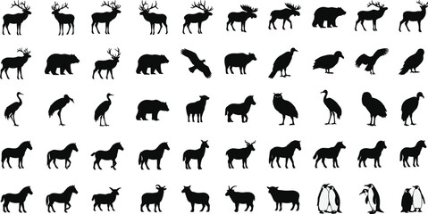 Black wildlife animal silhouette vector set with deer, bears, horses, penguins, owls, and various birds for nature education and zoo design.