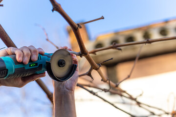 Cutting dry branches with cordless angle grinder. Close-up of hands using a cordless angle grinder...