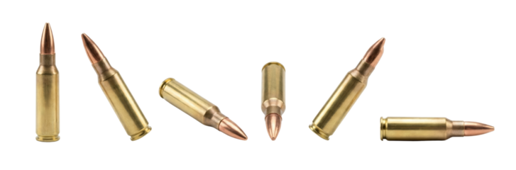 Ammunition Collection: Assorted Rifle Cartridges on White Background