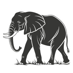 Obraz premium Silhouette of an elephant