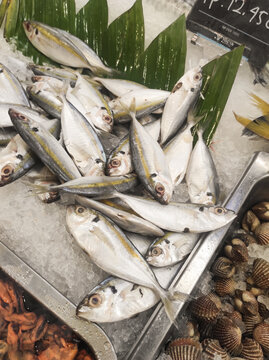 Top-down view of a pile of yellowtail scad on a pile of ice and decorated with pandan leaves. Fresh yellowtail scad, selaroides leptolepis, is displayed at a traditional fish market stall.